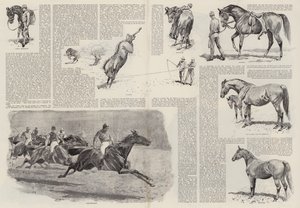 競走馬のキャリア